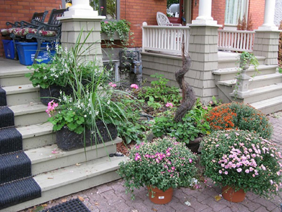 Avalon Bed And Breakfast Ottawa Exterior foto